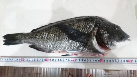 2019年、初フカセ