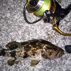 渋めのメバリング