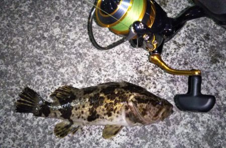 渋めのメバリング