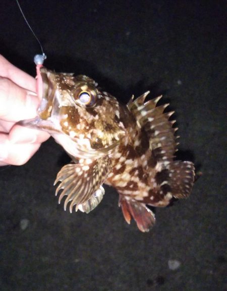 初めての場所でライトゲーム