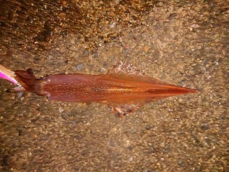 大ウネリの中で