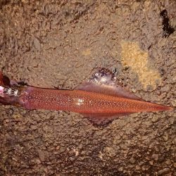 好状況ながら渋い