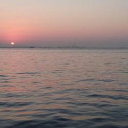 正月休み最後の朝練