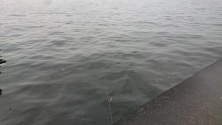 雨上がりの短時間夕練