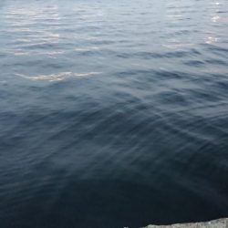 仕事帰りの短時間夕練！