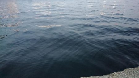 仕事帰りの短時間夕練！