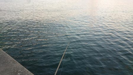 夕練極寒シーバス調査