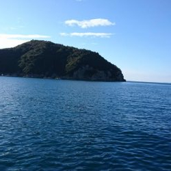 新年あけましておめでホウボウございます