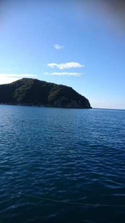 新年あけましておめでホウボウございます