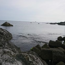 メジロマックイーンきたよ！