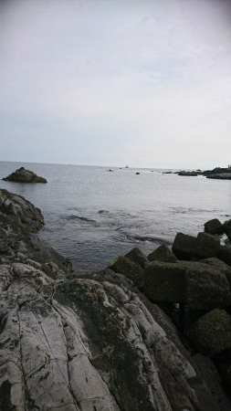 メジロマックイーンきたよ！