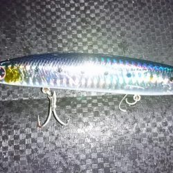 ブリトニーきたよ!