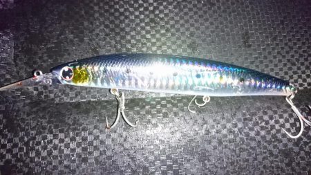 ブリトニーきたよ!