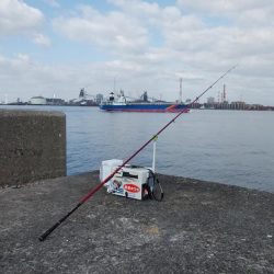 播磨新島で良型キスが釣れました