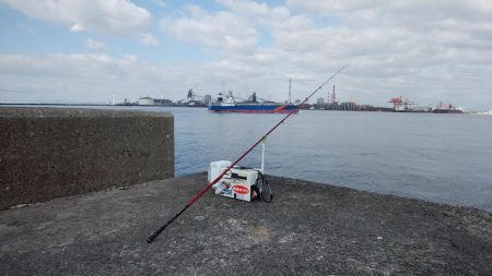 播磨新島で良型キスが釣れました