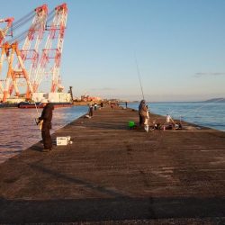 播磨新島のキス釣り