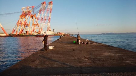 播磨新島のキス釣り