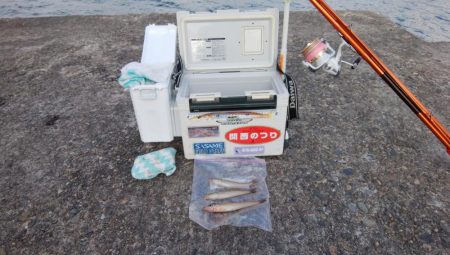 播磨新島でキス釣り
