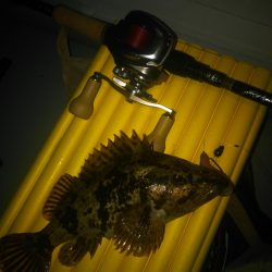 2019初ゴムボートロック