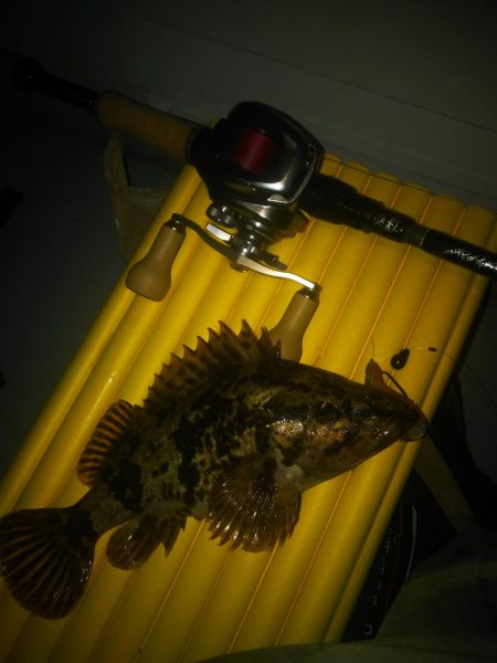 2019初ゴムボートロック