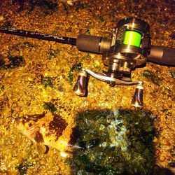 メバリング修行