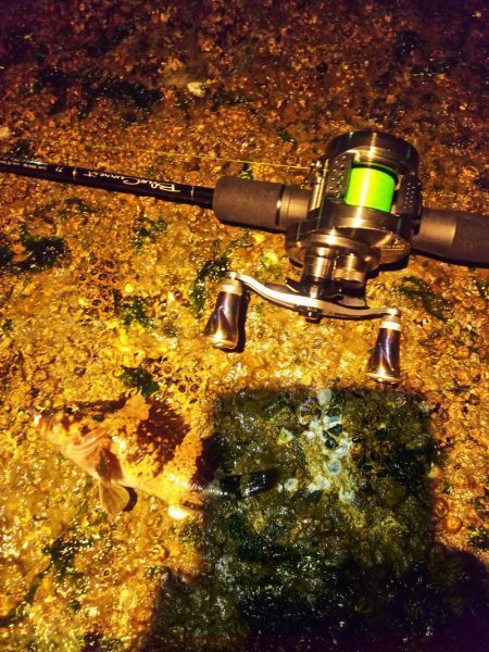 メバリング修行