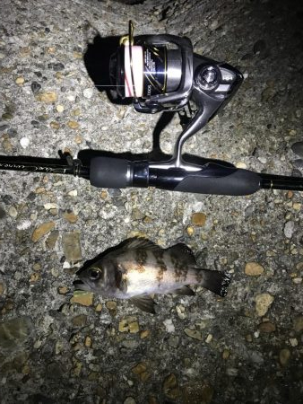 短時間メバリング