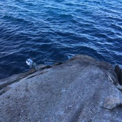 牟岐大島「巨人」でグレ