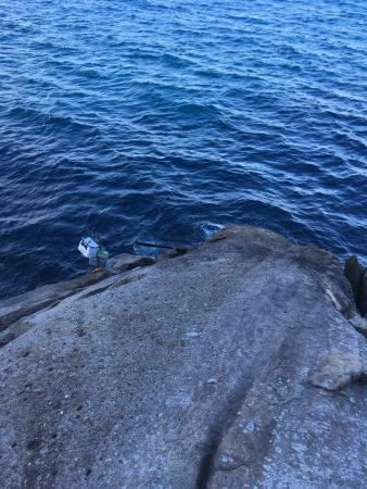 牟岐大島「巨人」でグレ