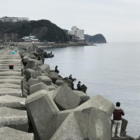 1チャンスGET!!メジロ