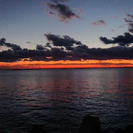 回遊に出会えた