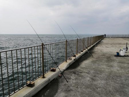 マコカレイ 38.0cm