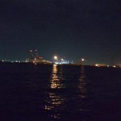 明けましておめでとうございます