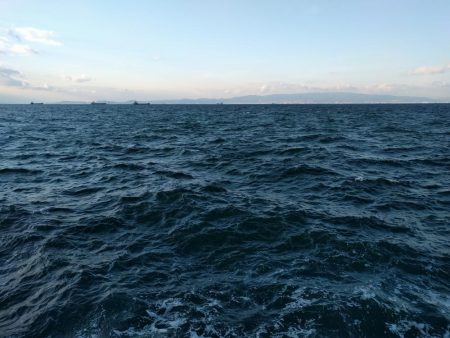 ちょっとタコ釣り