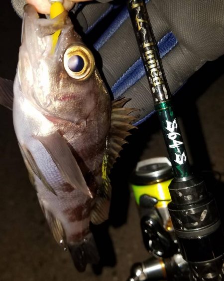 癒やしを求めて‼