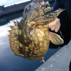 旅行のついでに