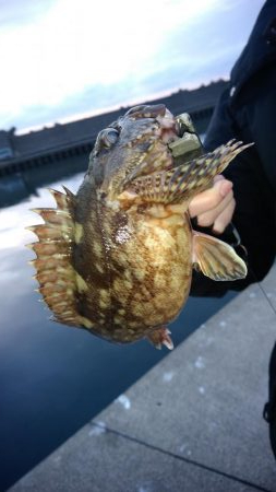 旅行のついでに