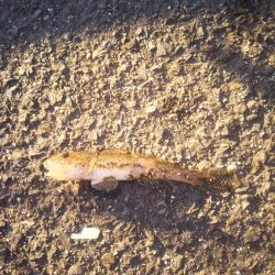 時間が空いたので。