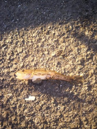 時間が空いたので。