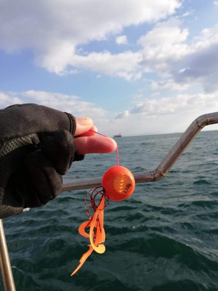 寒波の中のタイラバ