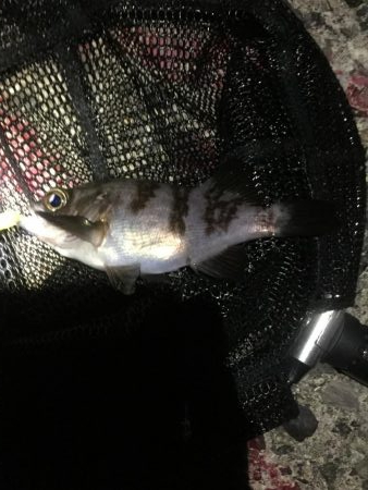 下げでなんとか