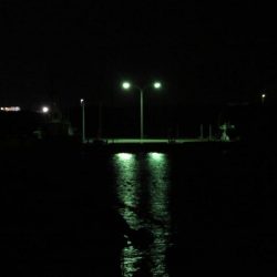 新年初釣りは一投目でゲット！