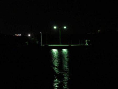 新年初釣りは一投目でゲット！