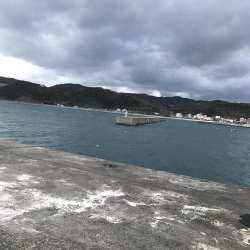 サワラ記録更新