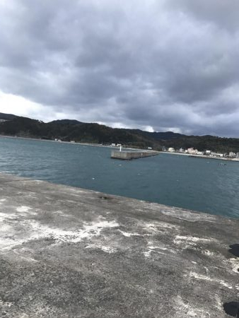 サワラ記録更新