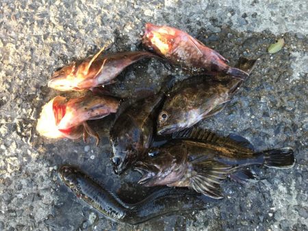 成人違うけど休み