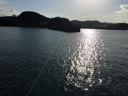 サビキで小サバ37㎝