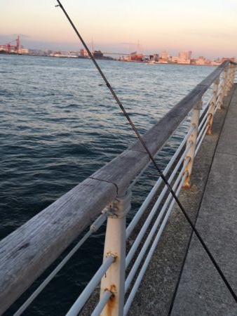 コスモスクエア　釣り始め　太刀魚はまだいる