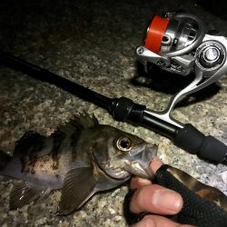 久しぶりのサーフで連発っメバリング!