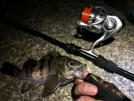 久しぶりのサーフで連発っメバリング！